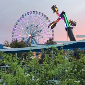 Meet your Posher, Maribel